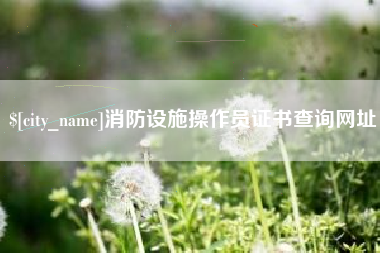 沂南消防设施操作员证书查询网址