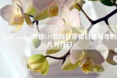 沂南我国119消防日宣传日是每年的几月几日