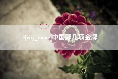 沂南中国哪几项金牌