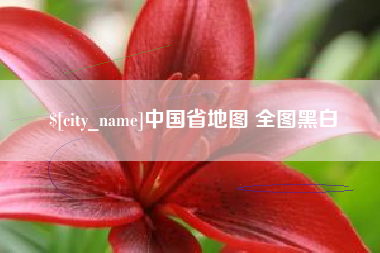 沂南中国省地图 全图黑白
