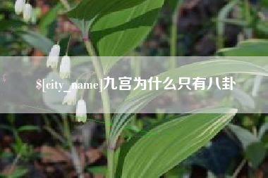 沂南九宫为什么只有八卦
