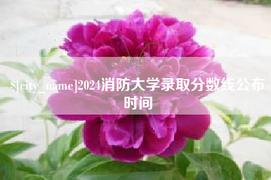 沂南2024消防大学录取分数线公布时间