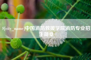 沂南中国消防救援学院消防专业招生简章