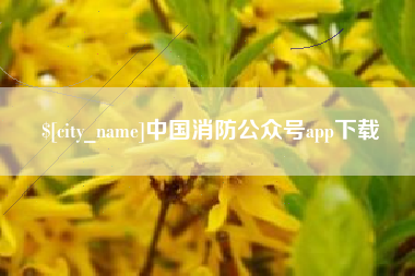 沂南中国消防公众号app下载