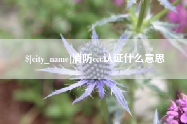 沂南消防ccc认证什么意思