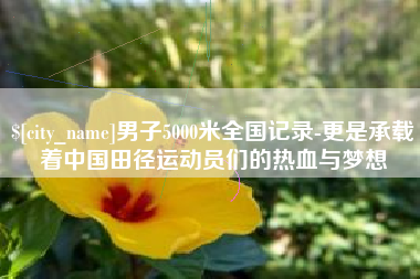 沂南男子5000米全国记录-更是承载着中国田径运动员们的热血与梦想