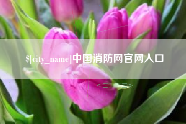 沂南中国消防网官网入口