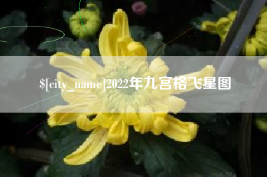 沂南2022年九宫格飞星图