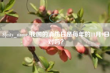 沂南我国的消防日是每年的11月9日对吗？