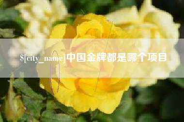 沂南中国金牌都是哪个项目