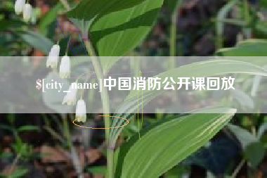 沂南中国消防公开课回放
