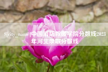 沂南中国消防救援学院分数线2023年河北录取分数线
