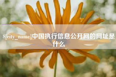 沂南中国执行信息公开网的网址是什么
