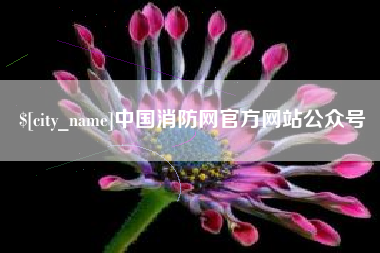 沂南中国消防网官方网站公众号
