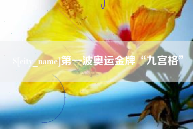 沂南第一波奥运金牌“九宫格”