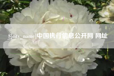 沂南中国执行信息公开网 网址