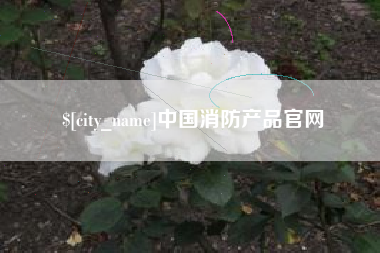 沂南中国消防产品官网