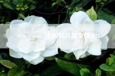 沂南中国的几块金牌2021
