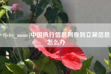 沂南中国执行信息网查到立案信息怎么办