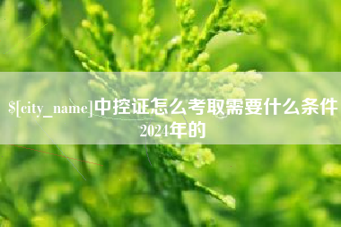 沂南中控证怎么考取需要什么条件2024年的