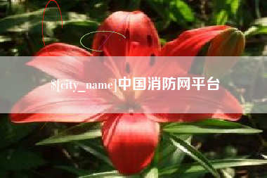 沂南中国消防网平台