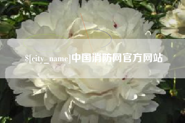 沂南中国消防网官方网站