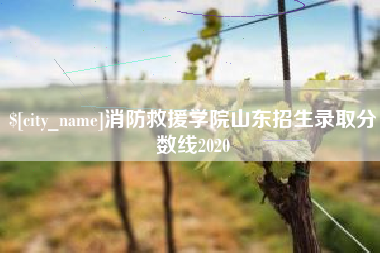 沂南消防救援学院山东招生录取分数线2020