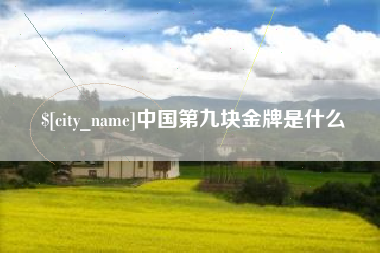 沂南中国第九块金牌是什么