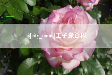 沂南王子豪百科