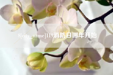 沂南119消防日哪年开始