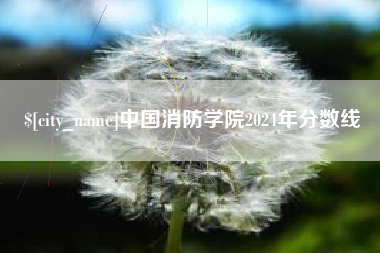 沂南中国消防学院2024年分数线