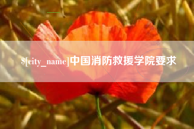 沂南中国消防救援学院要求