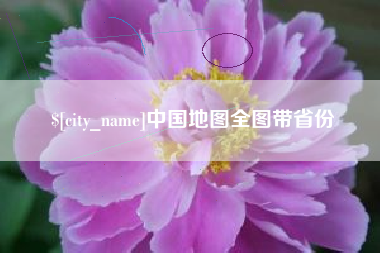沂南中国地图全图带省份