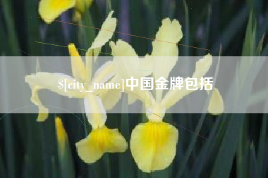 沂南中国金牌包括