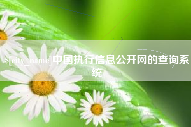 沂南中国执行信息公开网的查询系统