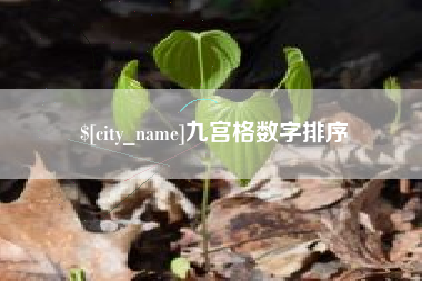沂南九宫格数字排序