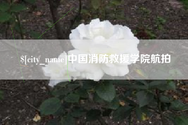 沂南中国消防救援学院航拍
