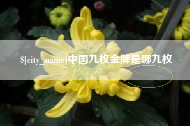 沂南中国九枚金牌是哪九枚