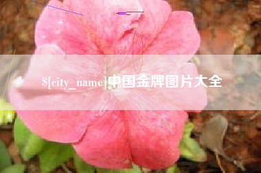 沂南中国金牌图片大全