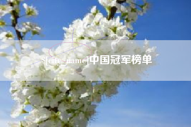 沂南中国冠军榜单