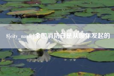 沂南全国消防日是从哪年发起的