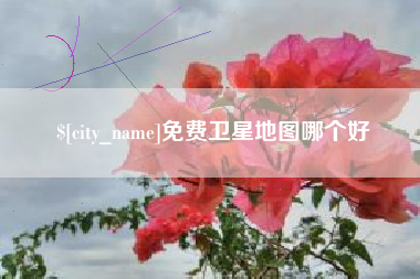 沂南免费卫星地图哪个好