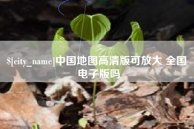 沂南中国地图高清版可放大 全国 电子版吗