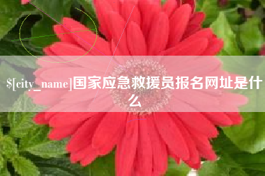 沂南国家应急救援员报名网址是什么