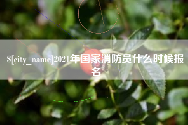 沂南2021年国家消防员什么时候报名