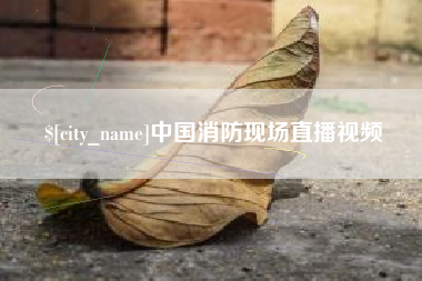 沂南中国消防现场直播视频