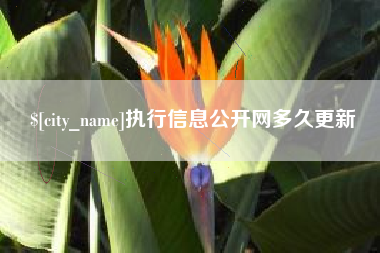 沂南执行信息公开网多久更新
