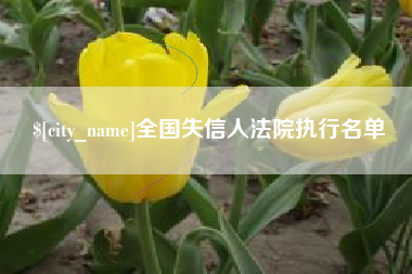 沂南全国失信人法院执行名单