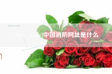 沂南中国消防网址是什么