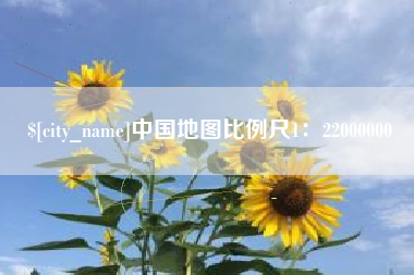 沂南中国地图比例尺1：22000000
